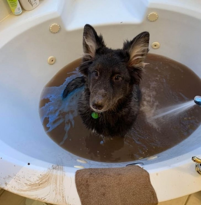 10. "I'm still a good boy, though, right, Ma?"