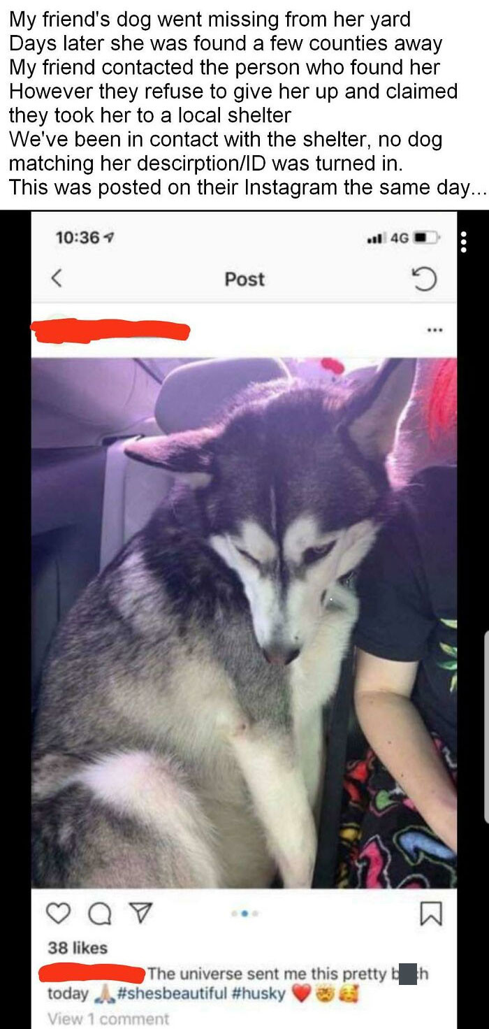 42. They have no right to claim this dog.