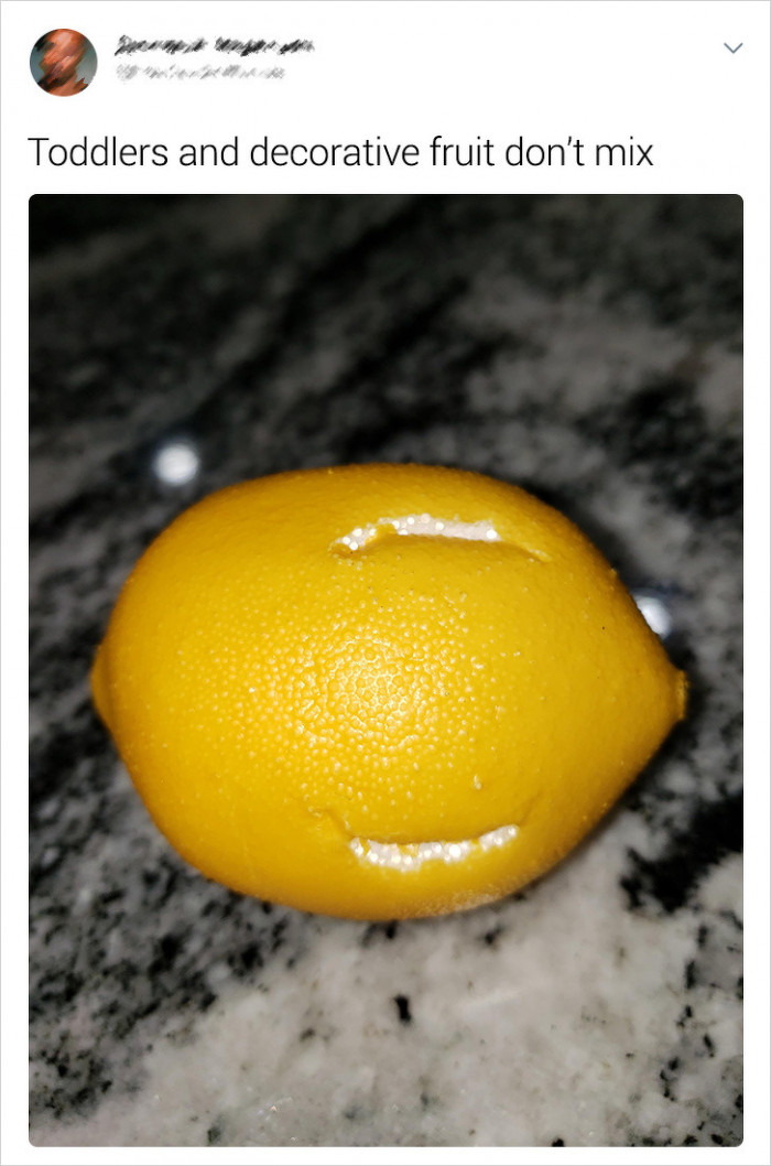 12. My son would most definitely do this.