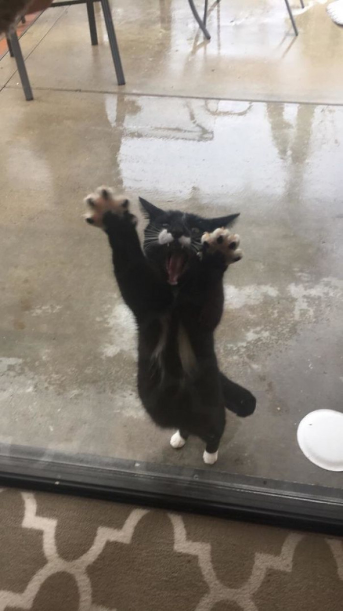 26. "It's wet, you imbecile!"