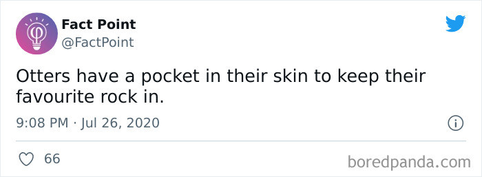 4. You Might Want to Have a Built-in Pocket, Too.