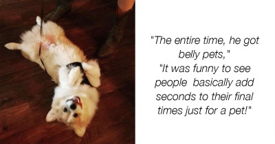 Runners Give Up Seconds In Race To Pet This Corgi