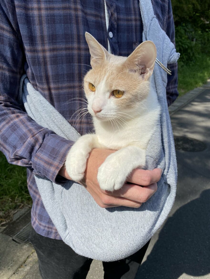 Miru-chan and his human often go on walks.