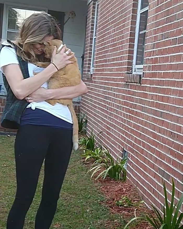 Mindy and Luke adopted Cat from a shelter in 2015. They noticed he was very shy and too timid to even play with the other kittens at the shelter. They knew right away he was meant to be a part of their family.