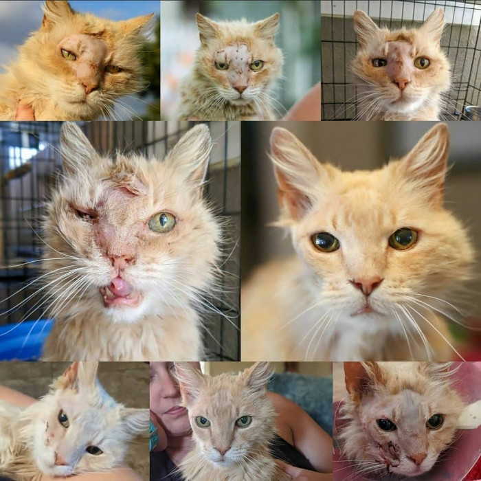 Look how far he's come!