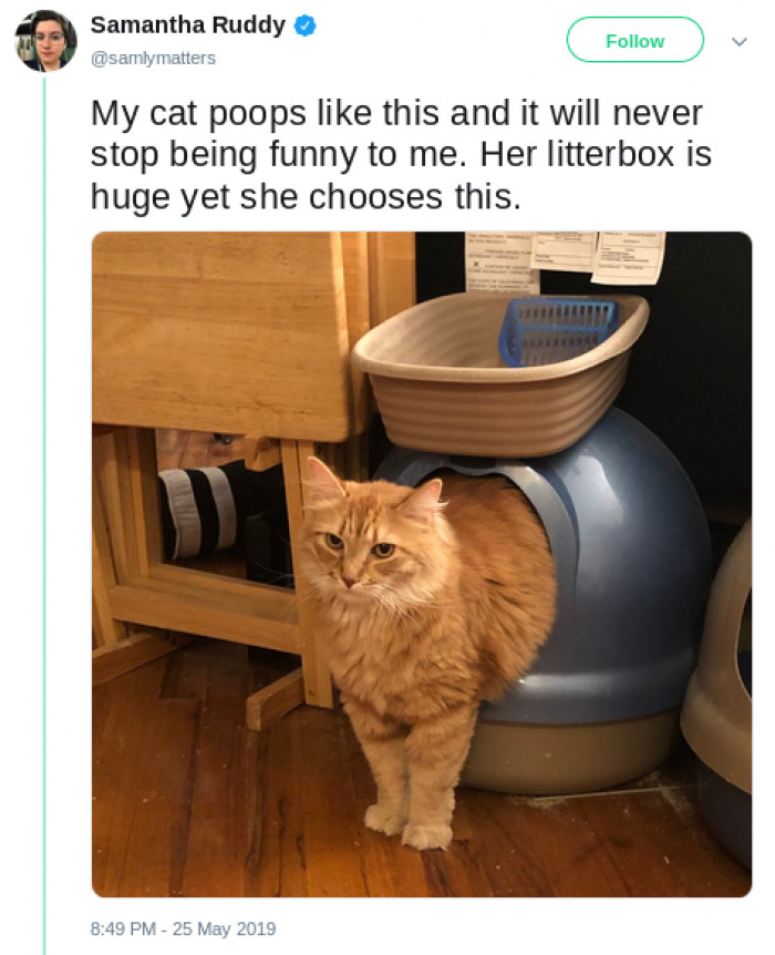 Poop time is pretend you're a snail time.