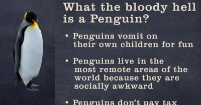 Dave TV Publishes Animal "Guides" That Are Actually Hilarious Satirical Animal Facts