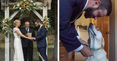 This Dog Did The Ultimate Photobomb At His Parent's Wedding
