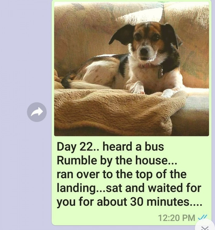 Day 22.