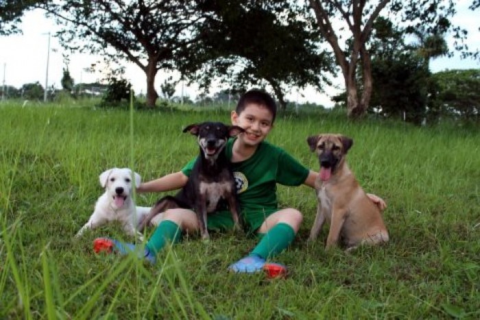 Here is Ken with the original trio. Blackie, Brownie, and White Puppy look so much healthier after receiving proper care!