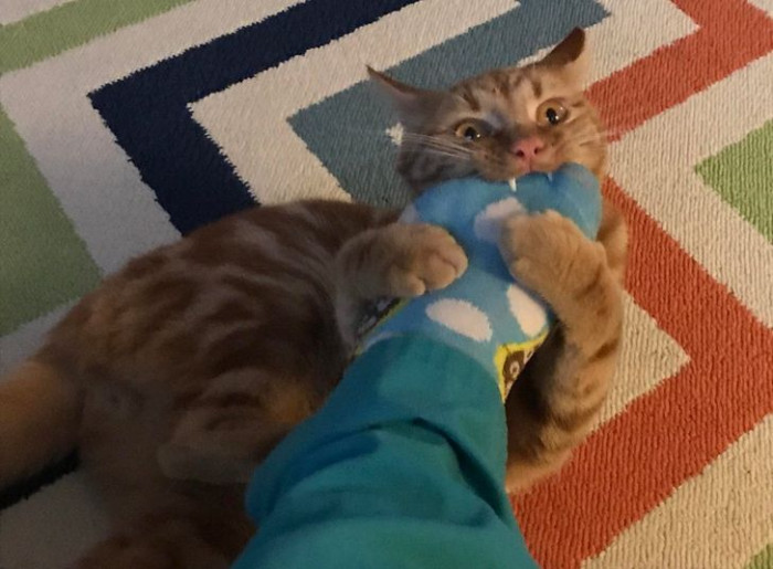 21. This is probably the cutest bite I've ever seen.