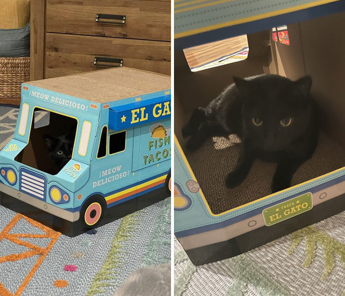 5. “Hi, welcome to ‘Meow Delicious.’ May I take your order, sir?”