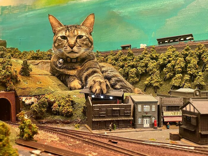 The cats together with the miniature models are part of the restaurant's attractions.