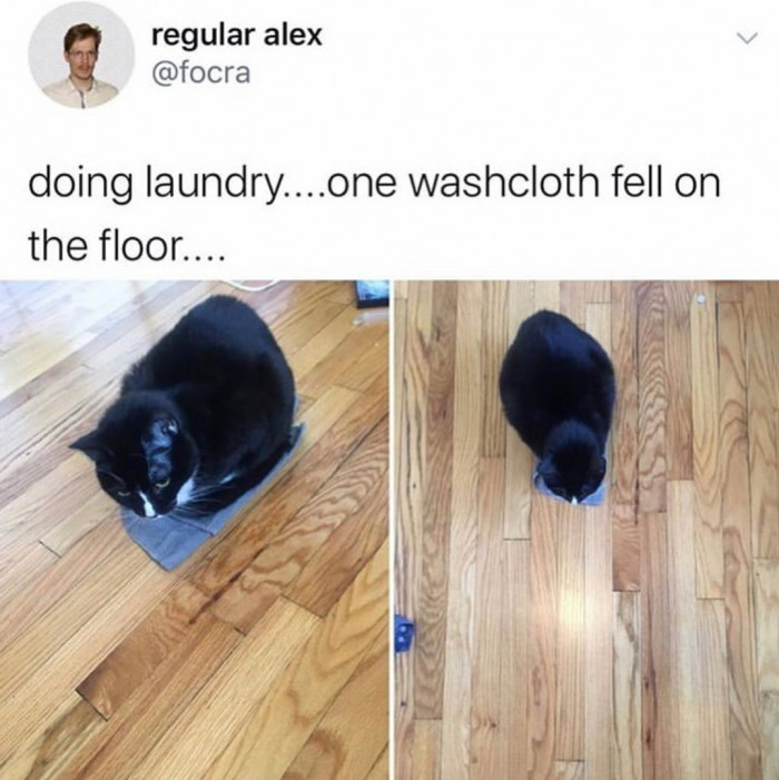 When they fit, they sit.