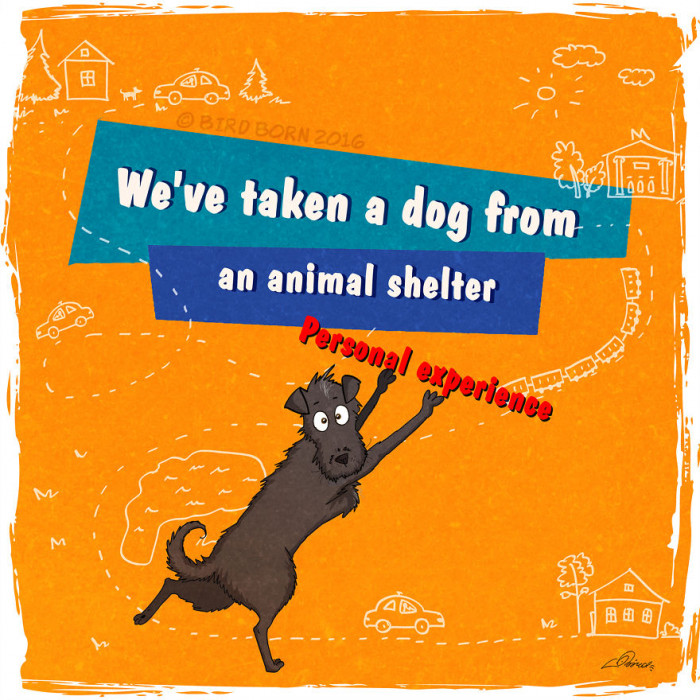 "We've Taken A Dog From An Animal Shelter."