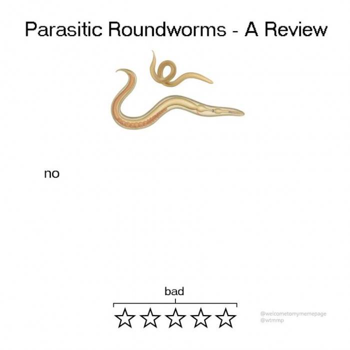 Parasitic Roundworms - It's a no from me!