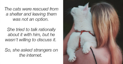 This Woman's Boyfriend Asked Her To Choose Between Him and Her Cats
