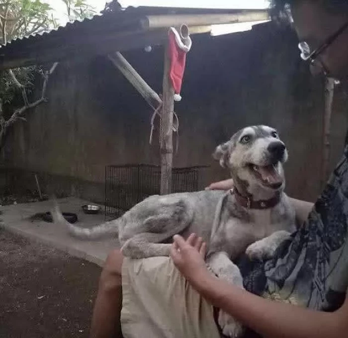 He started to play with his savior.