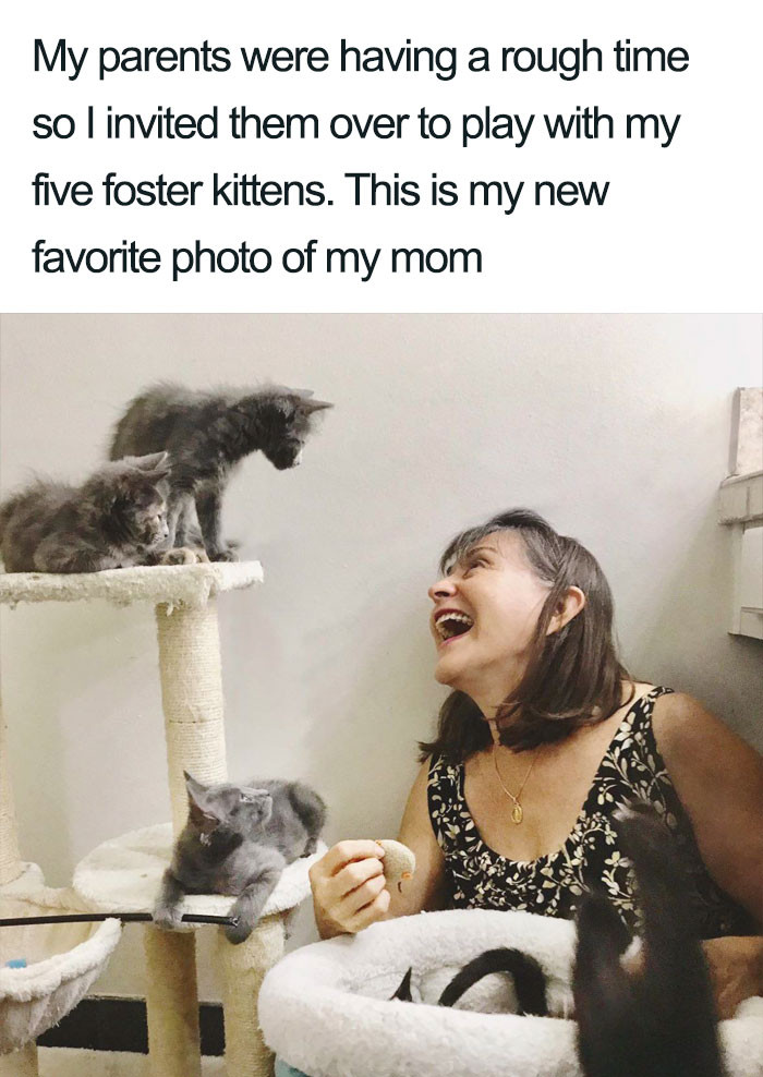22. Everything is better with kittens.