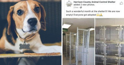 This Indiana Shelter Hits A Milestone By Adopting Out All Their Animals
