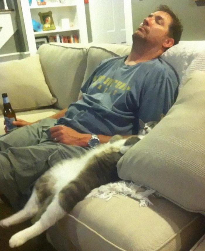 12. Just taking a cat nap.