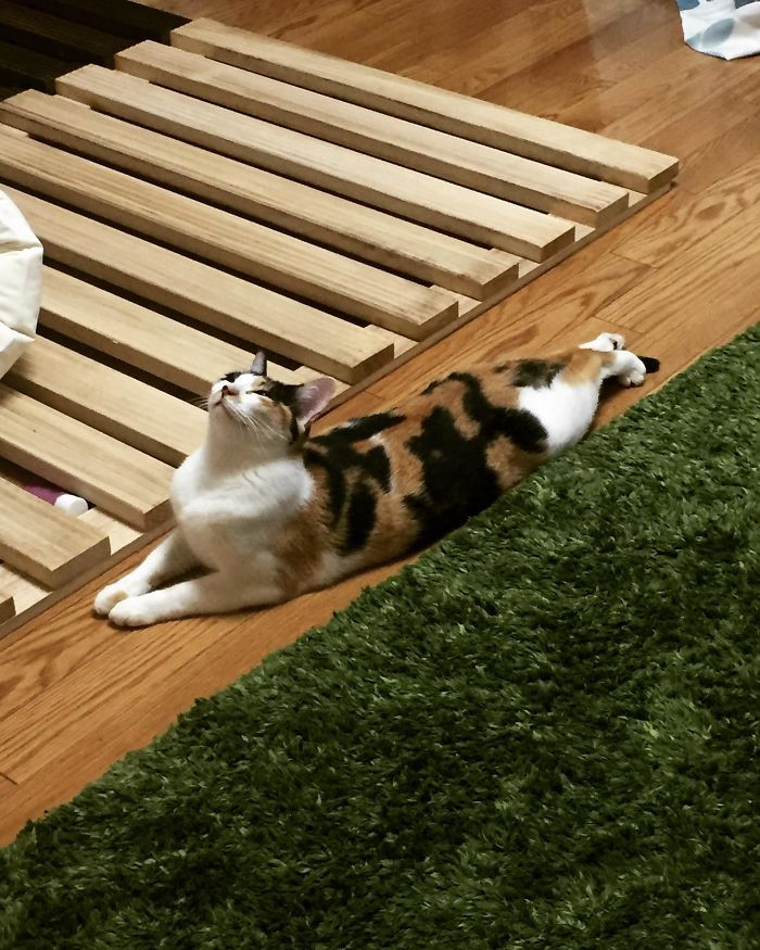 24. "Ok Not Sure What She’s Trying To Do Here But It’s Cute"