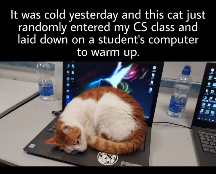 Forgivable and welcome.