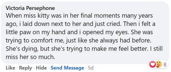 9. Trying to make her human feel better during her last moments.