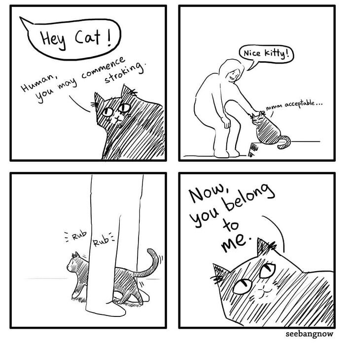 Relatable Cat Life Purr-fectly Depicted In These Cat Comics