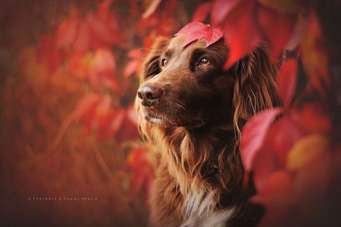 13. Autumn is in the Air