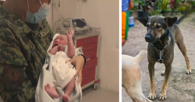 Smart Dog Guides Biker To Abandoned Newborn And Saves His Life
