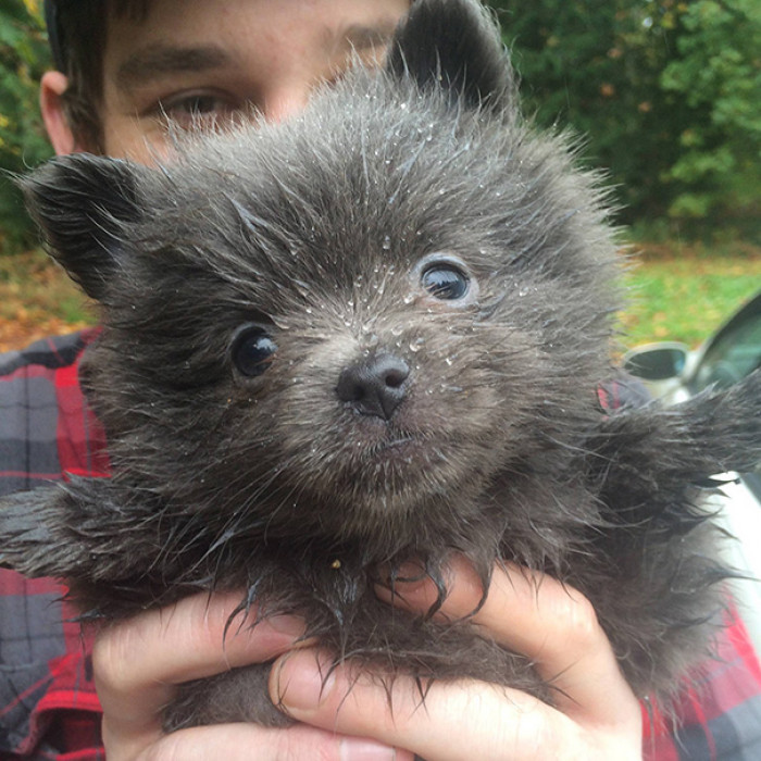 #14 Too cute! Little Wally.