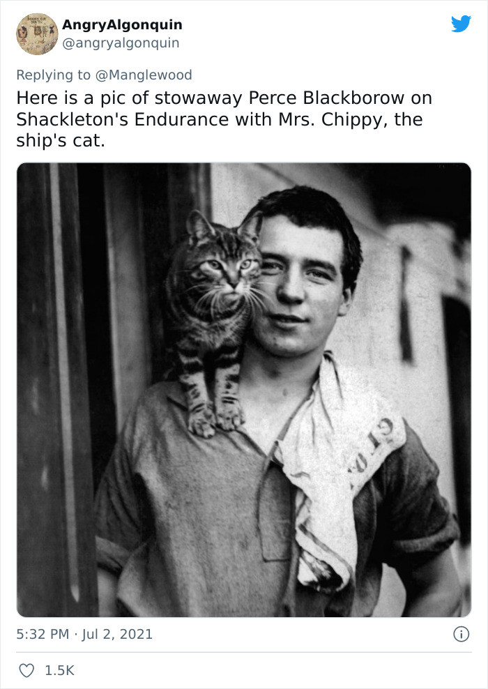 In fact, most of these photographs were taken around the time of World War II.