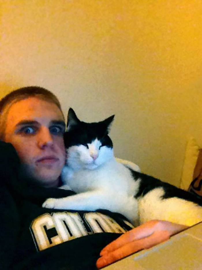 Knock knock, you have a cat now.