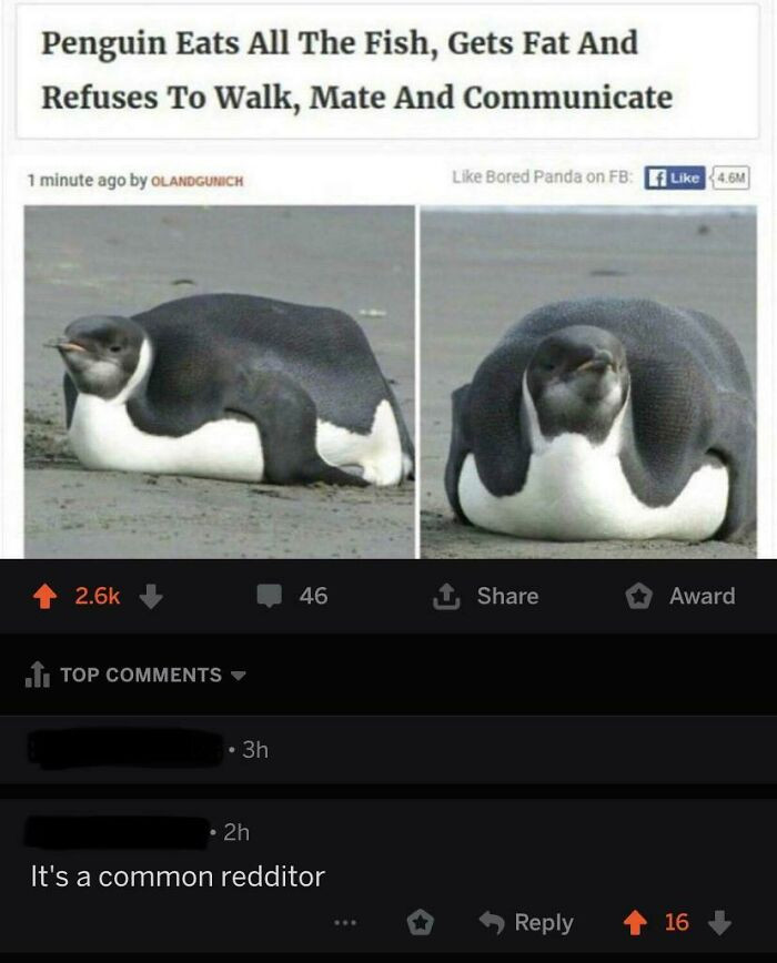 27. This can happen to anybody