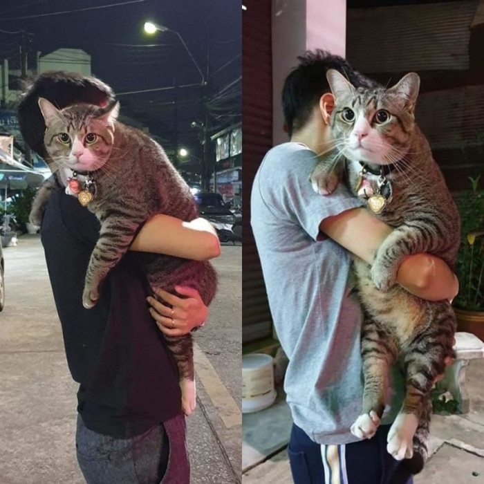 Oh LAWD he BIG