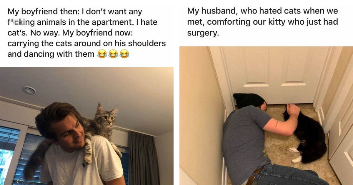 Boyfriends And Husbands That Fell In Love With The Cats They Never Wanted