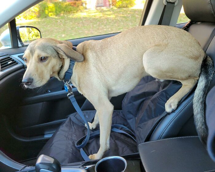 40. I don't know what you mean, human; this is how you're supposed to sit.