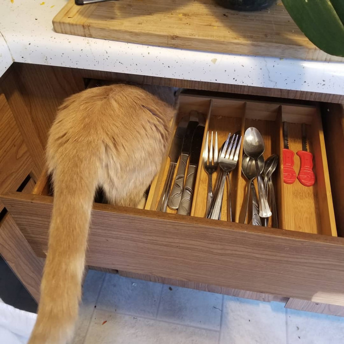 In the cutlery drawer 