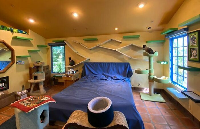 Peter bought the house in 1988. He designed it strategically to meet the needs of all his rescue cats.