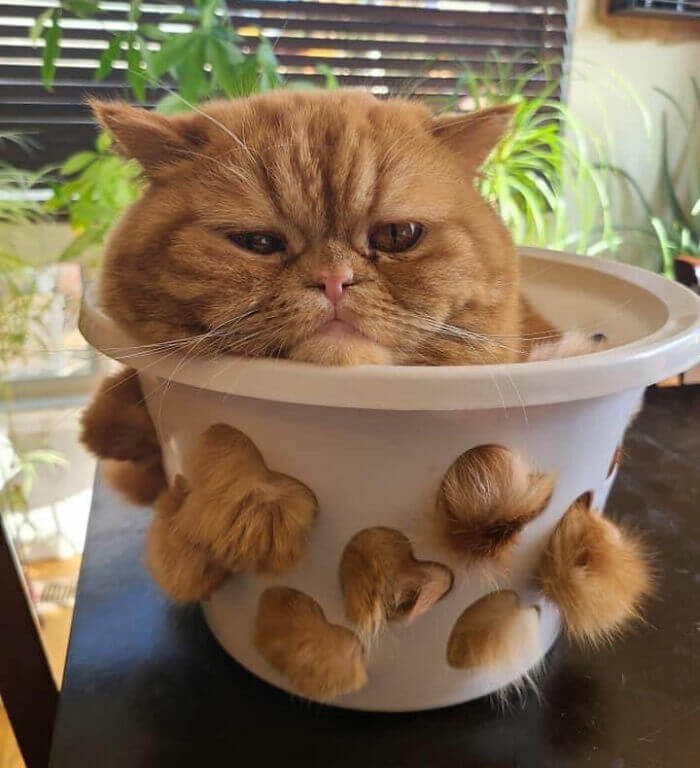 19. Watch out, this bowl is leaking.