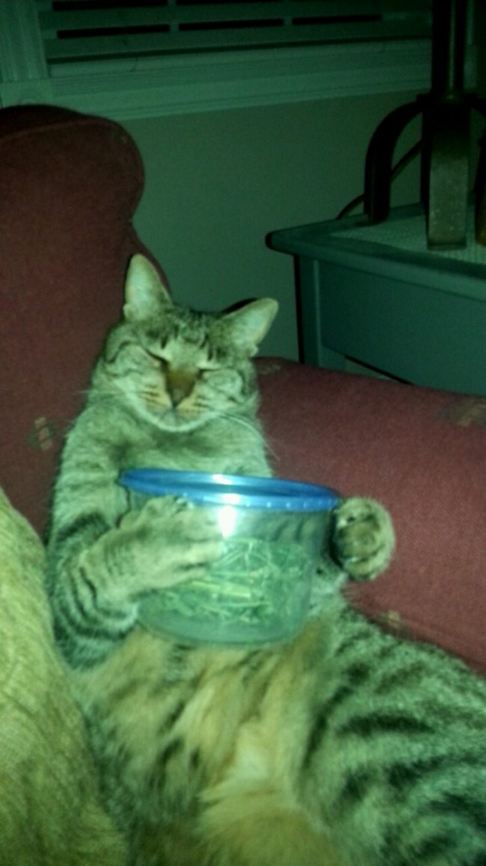 8. Just hanging around, doing nothing...