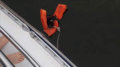 The people onboard tied a rope to a life preserver and threw it to the frightened raccoon. The exhausted animal managed to climb up and take a breather. One of the crew members then took a dinghy and towed the raccoon ashore.