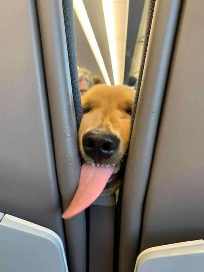 Showed his teeth...