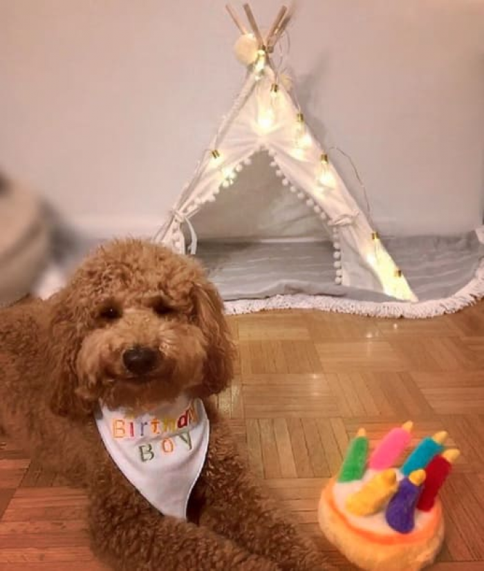 19. IT'S A BIRTHDAY BOY!