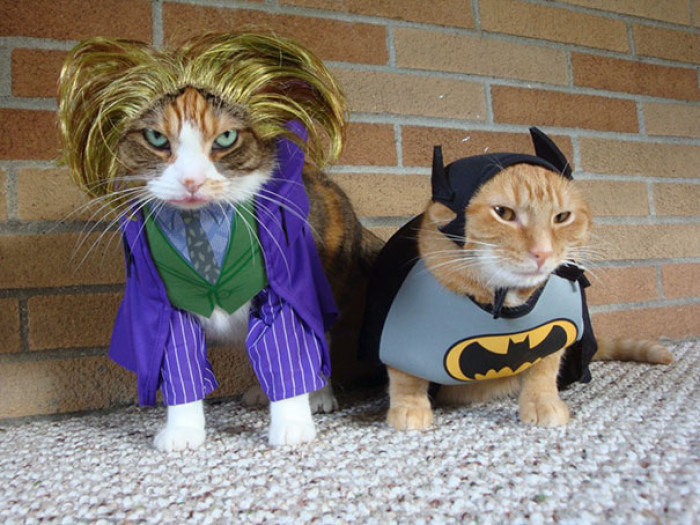 Joker and the Batman