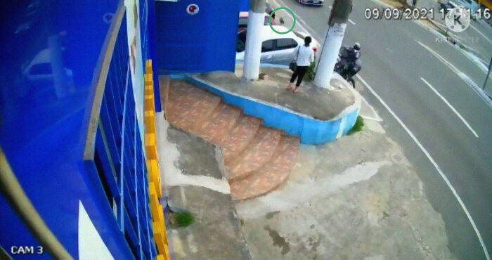 There's Amiga, slowly but surely walking to ask for help from the good people at the clinic.