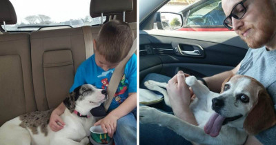 Photos Of Sweet Doggos And Puppers Finally Heading To Their Forever Home After Being Rescued