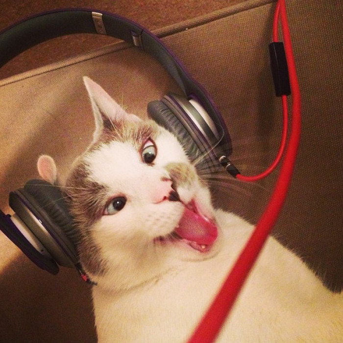 1. Pump up the volume!