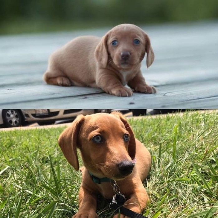 This is too much for my heart to handle!